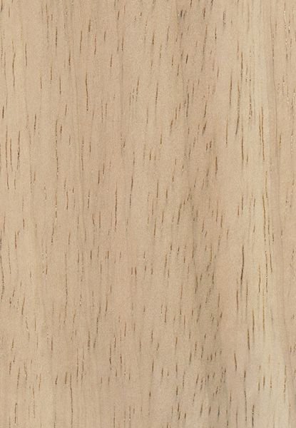 Rubber Wood